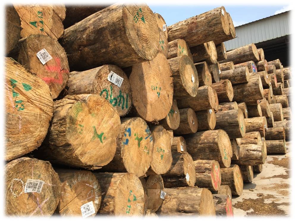Pine Wholesale Pine Wholesale